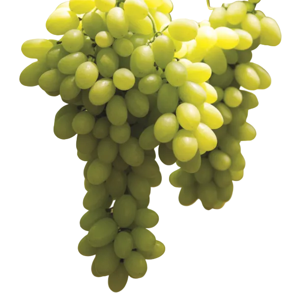 Uva Verde Sin Semilla Kg
