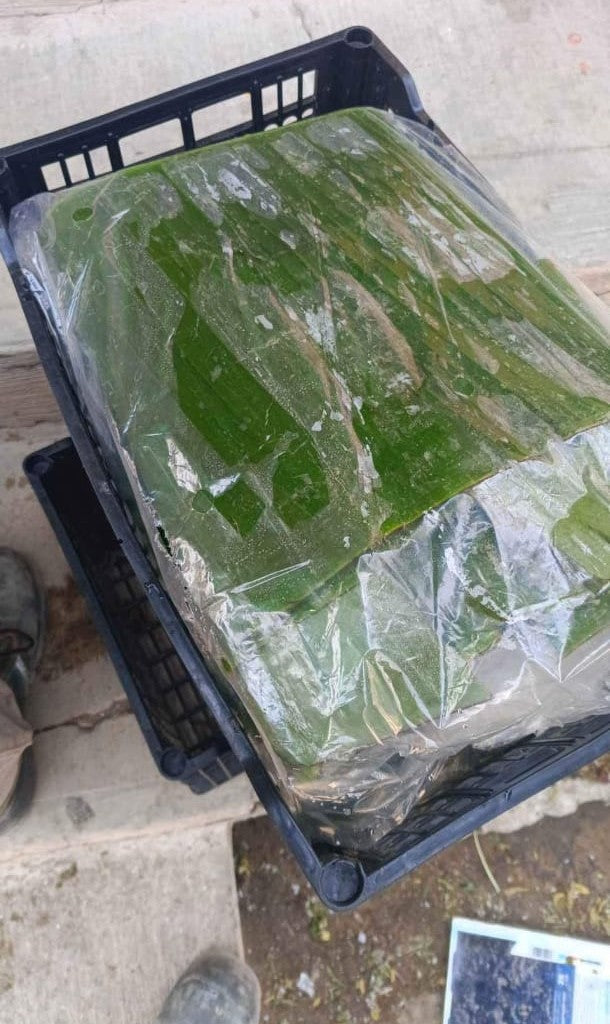 Hoja de plátano Vastago Caja 10Kg