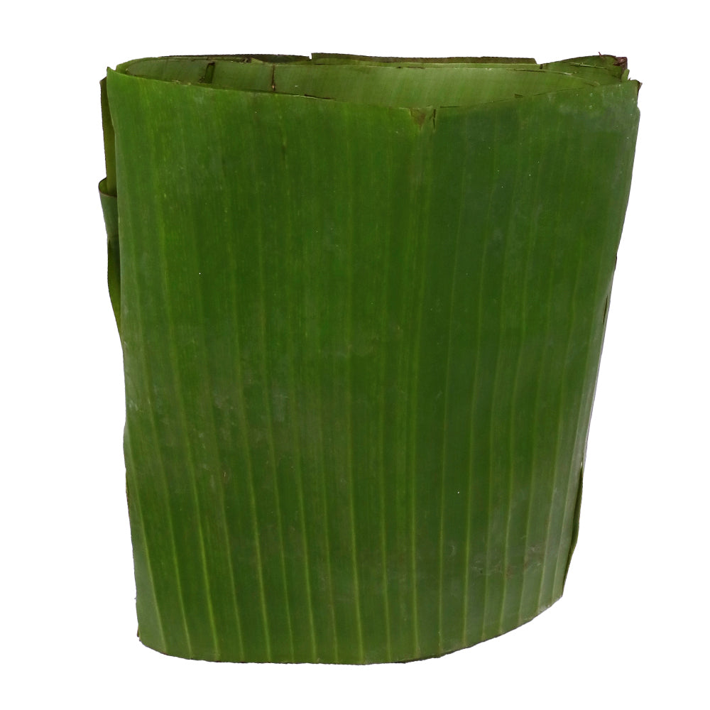 Hoja Platano Paquete 2 Pliegos