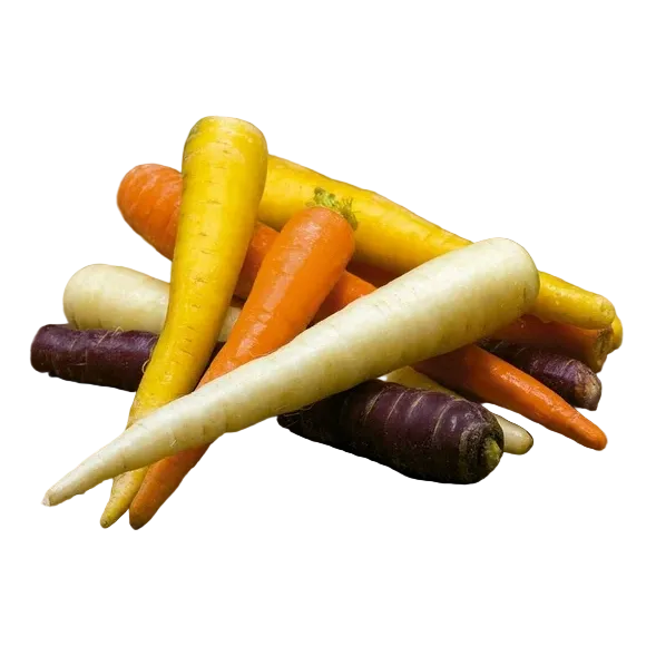 Zanahorias Arcoíris Kg