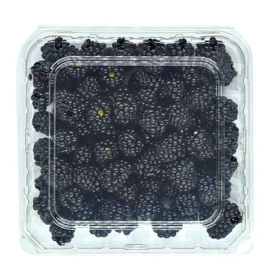Zarzamoras Burbuja